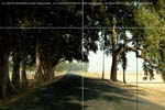 DriveaboutIII_(C)2007AshimGhoshG004
