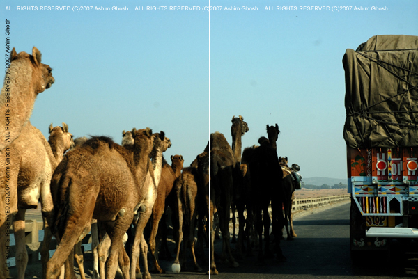 DriveaboutIII_(C)2007AshimGhoshI042