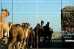 DriveaboutIII_(C)2007AshimGhoshI042