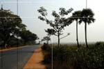 DriveaboutIII_(C)2007AshimGhoshL031