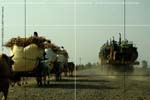 DriveaboutIII_(C)2007AshimGhoshM031
