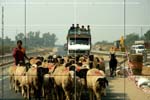 DriveaboutIII_(C)2007AshimGhoshT206