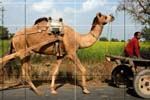 DriveaboutIII_(C)2007AshimGhoshT244