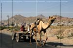 DriveaboutIII_(C)2007AshimGhoshV124