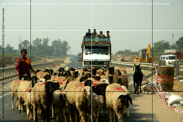 DriveaboutIII_(C)2007AshimGhoshT206