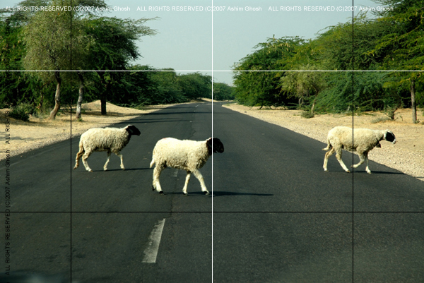DriveaboutIII_(C)2007AshimGhoshV093