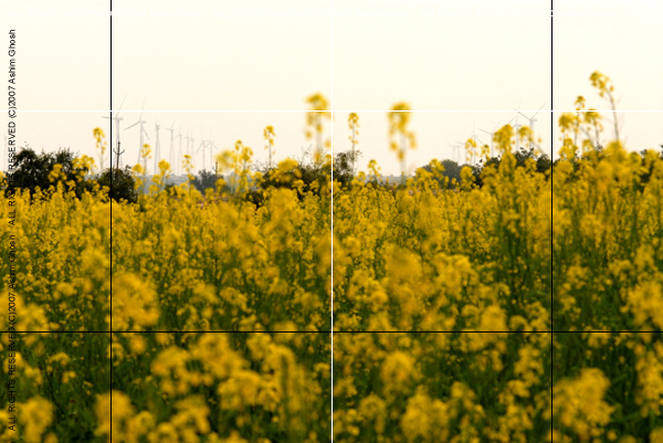 DriveaboutIII_(C)2007AshimGhoshX154
