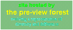 The Preview Forest